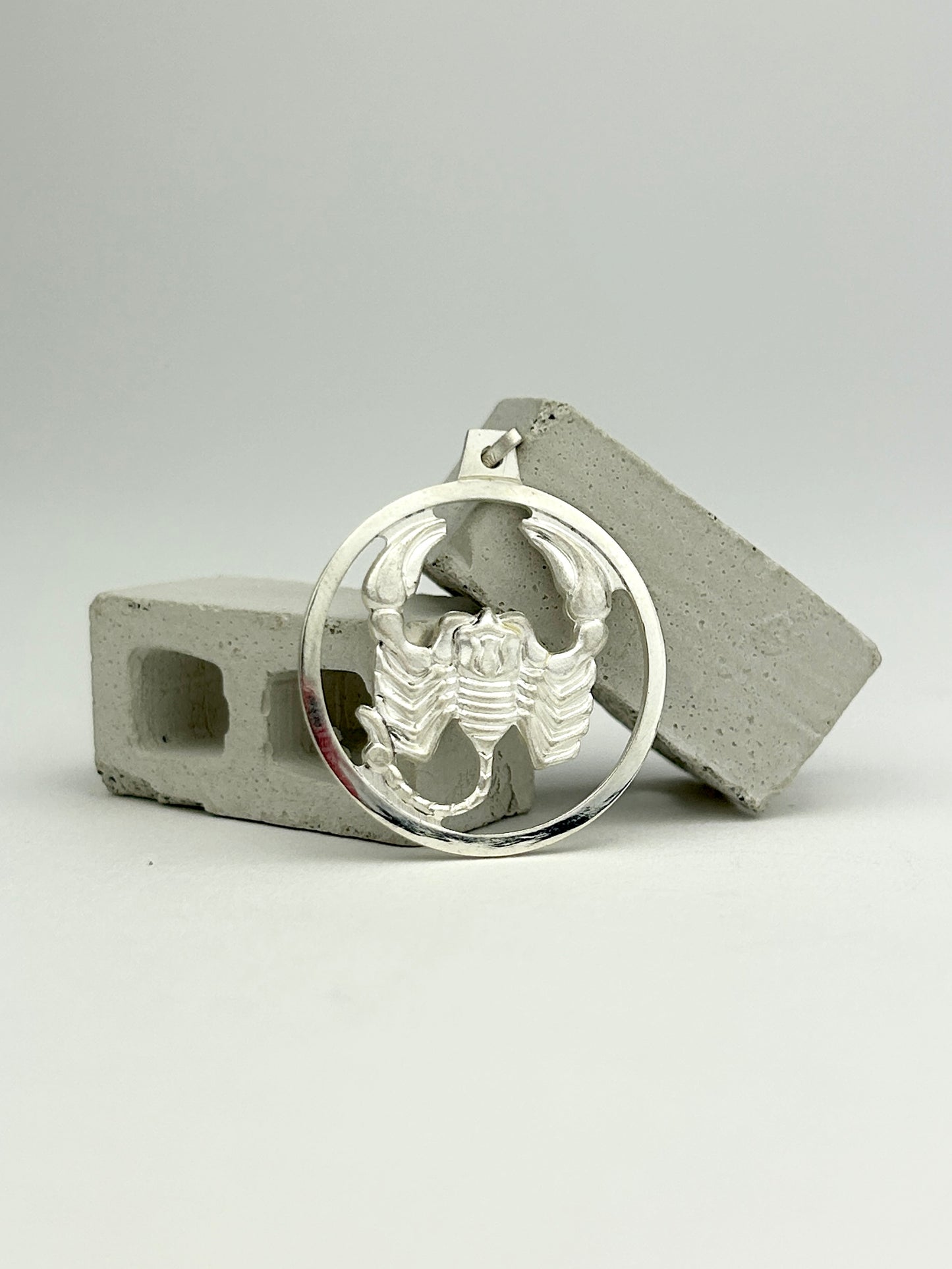 Scorpion Charm