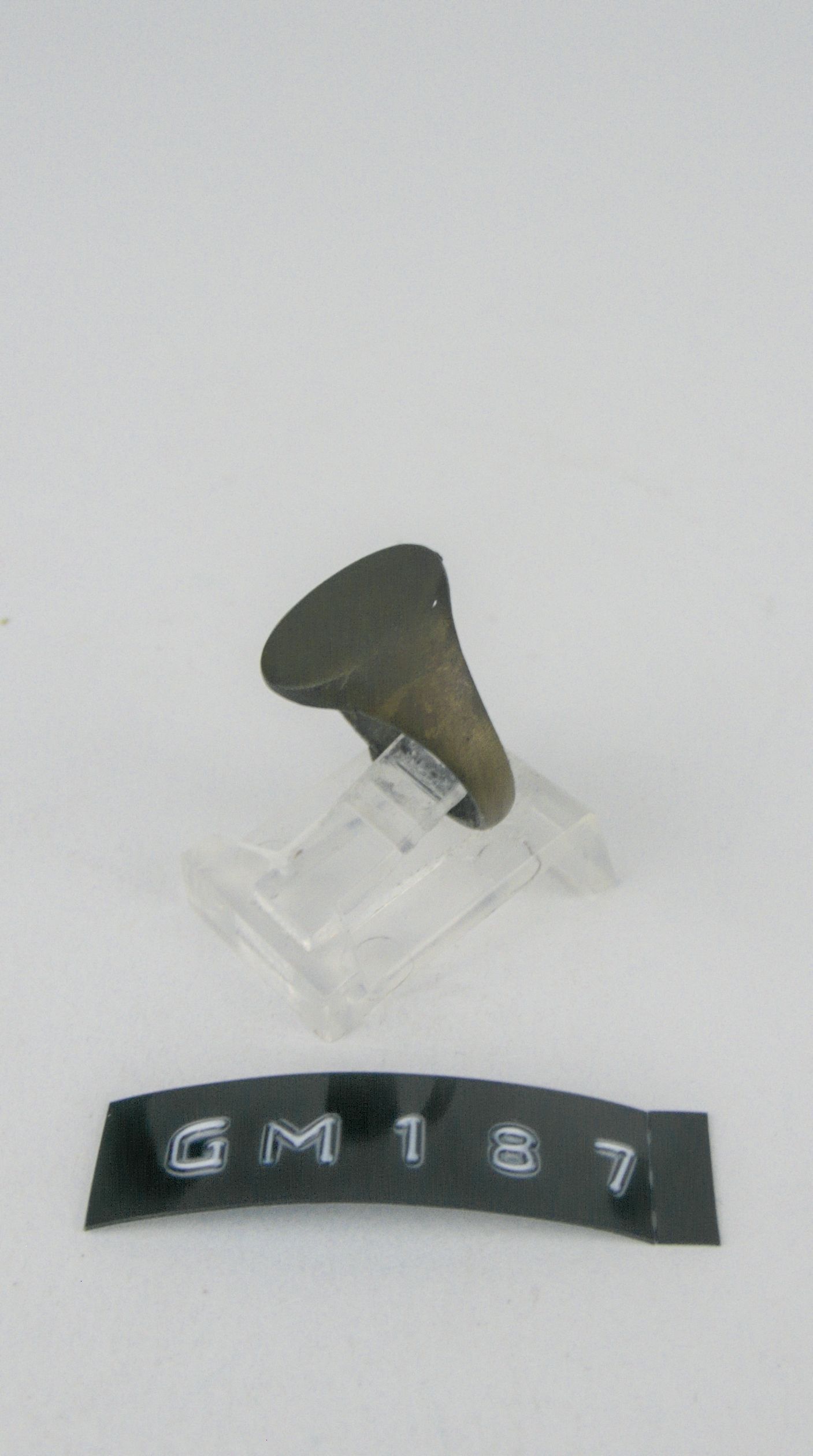 GM 187