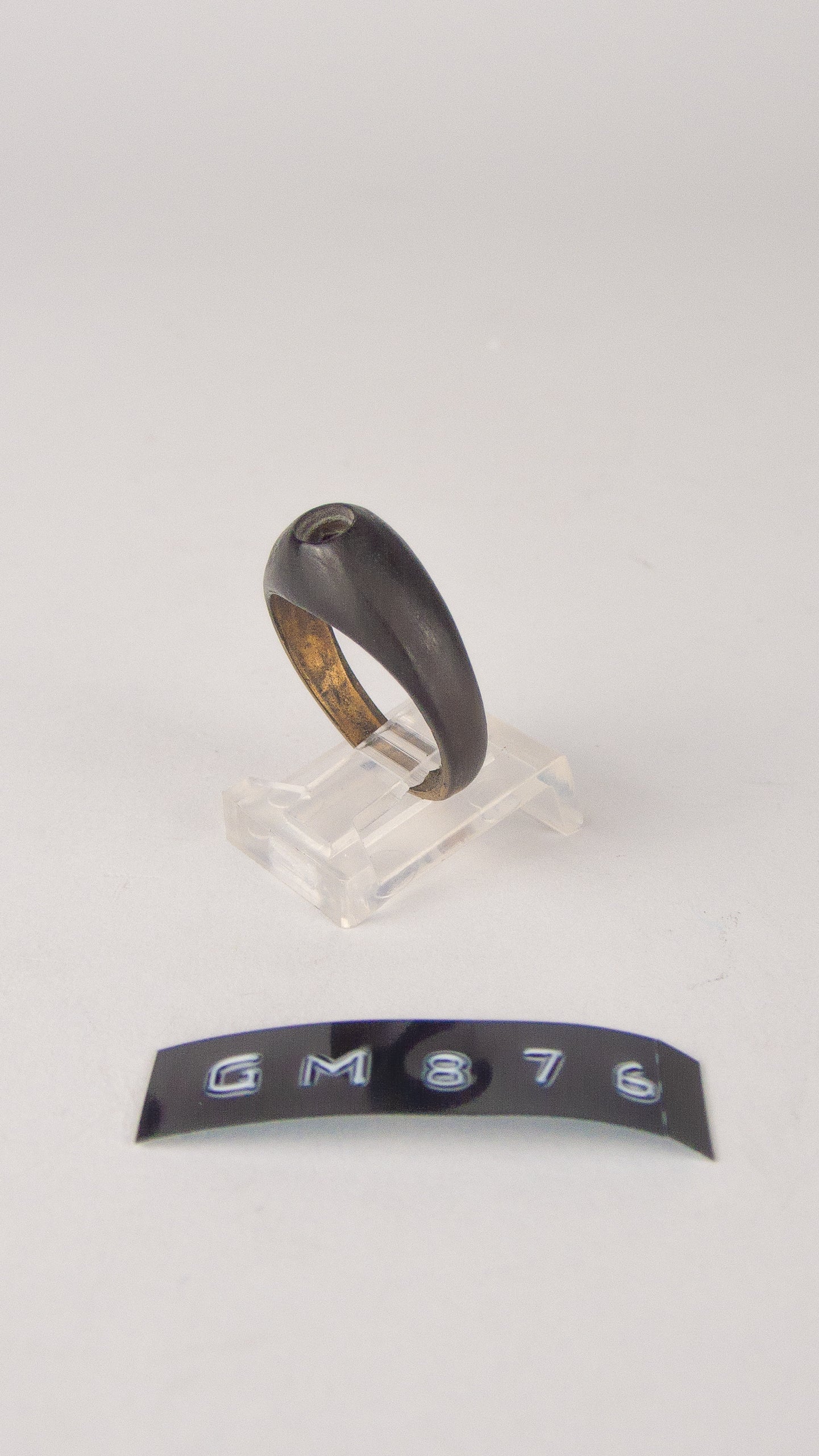 GM 876