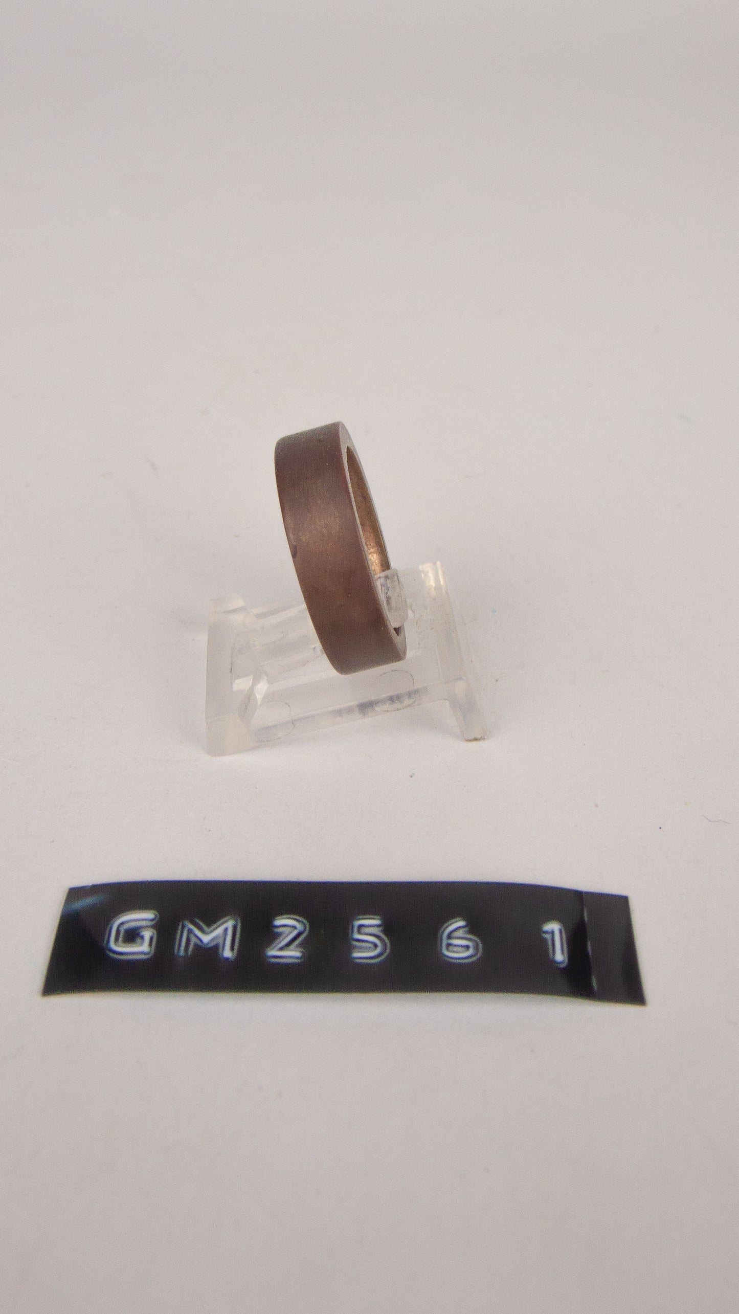 GM 2561