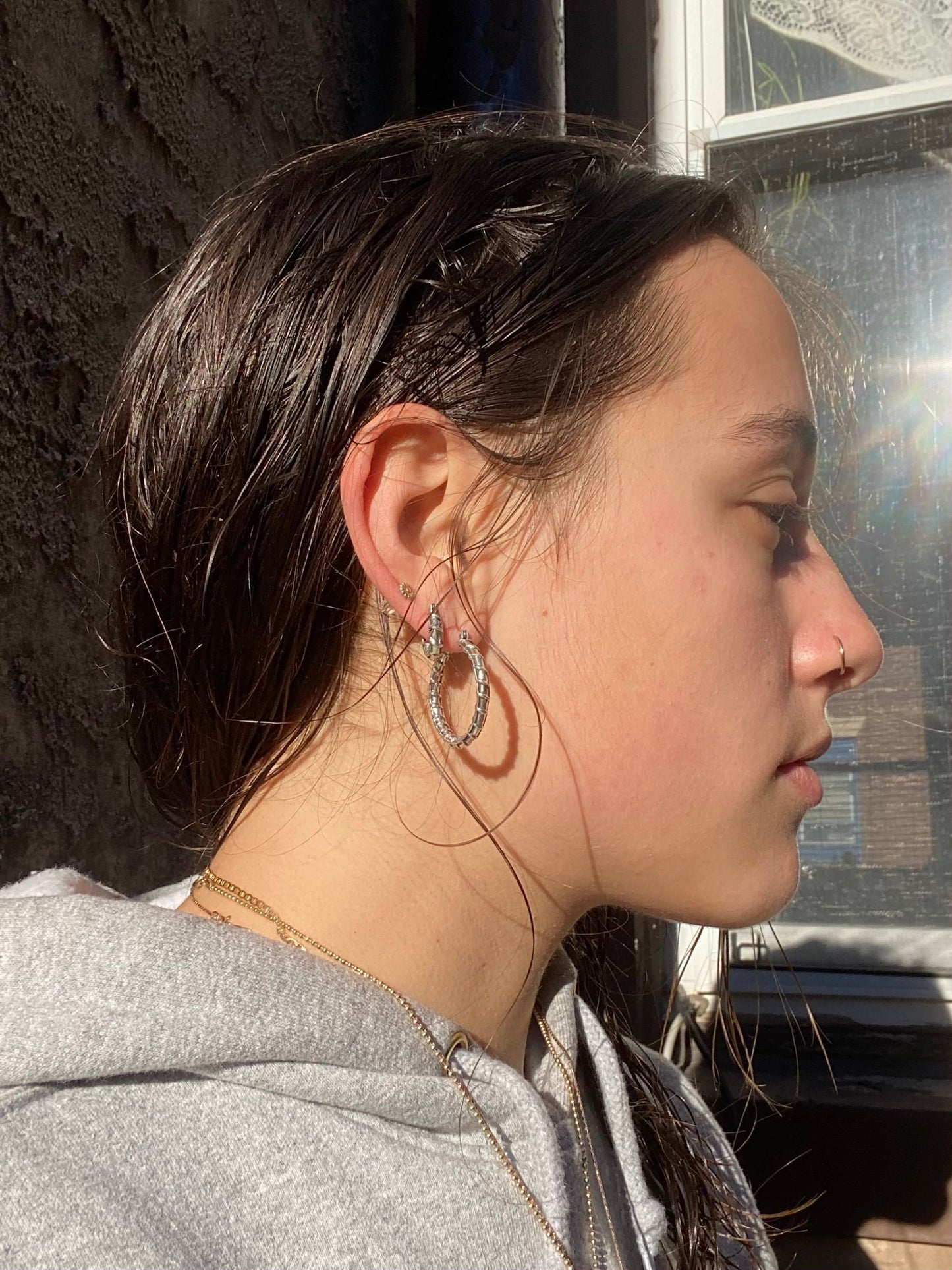 Small Rebar Hoops