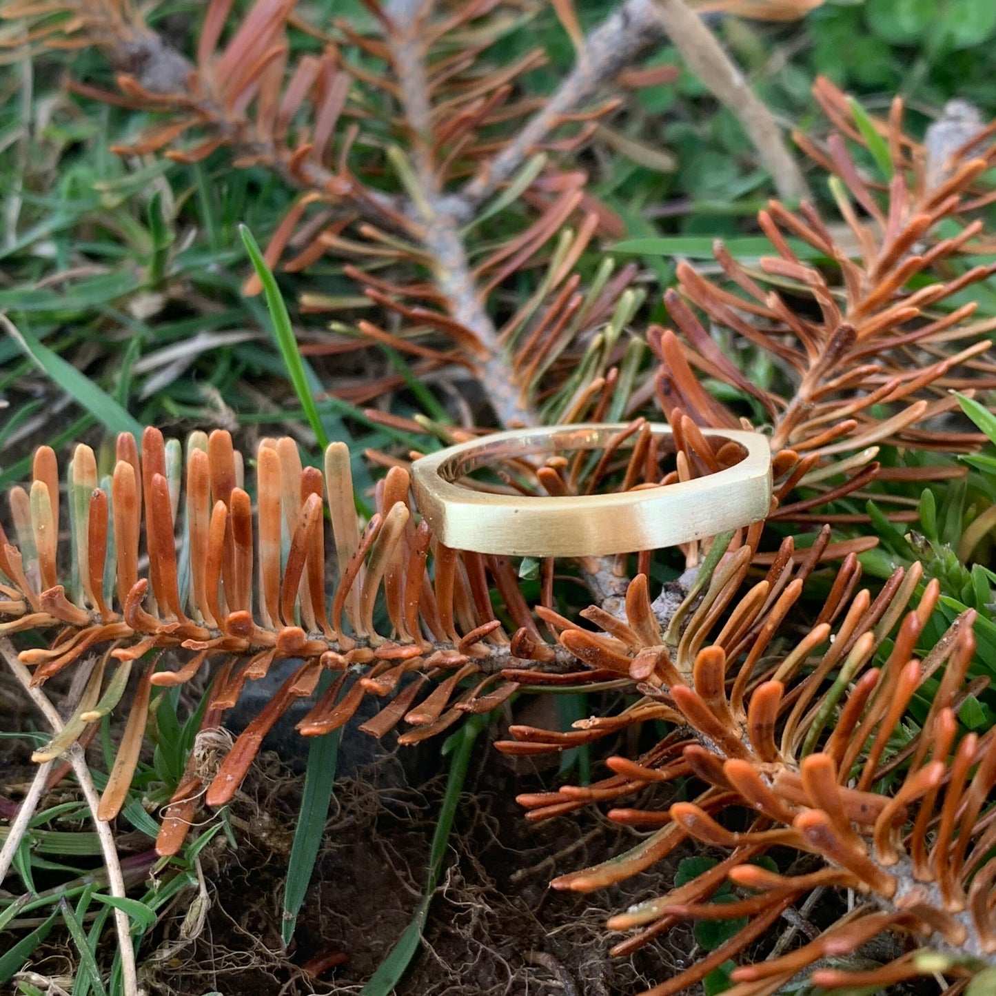 Geometric Band