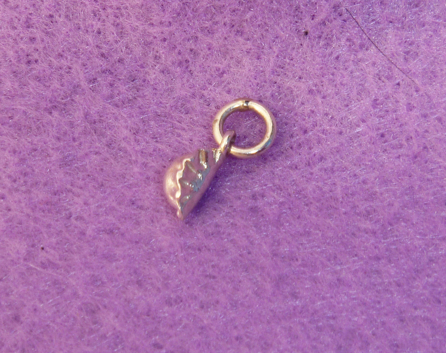 Dumpling Charm