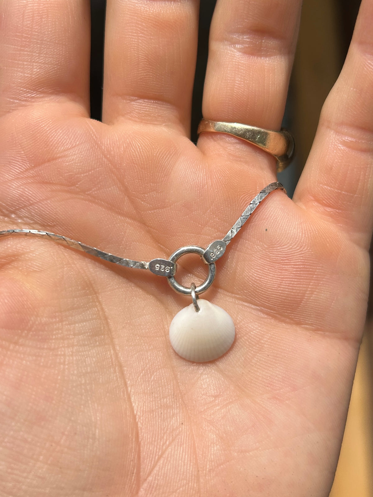 Silver and Shell Necklace