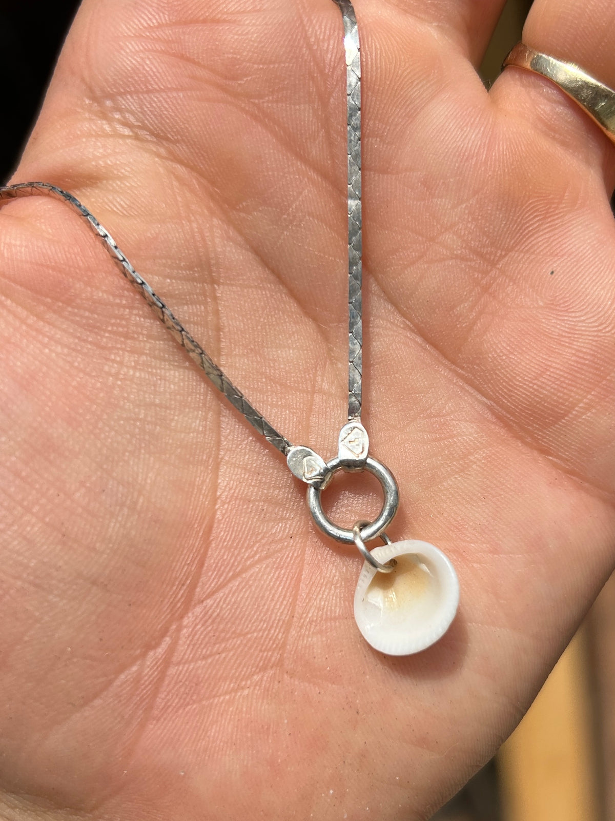Silver and Shell Necklace