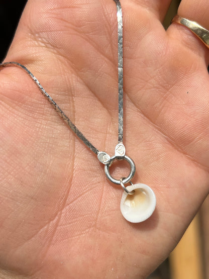 Silver and Shell Necklace