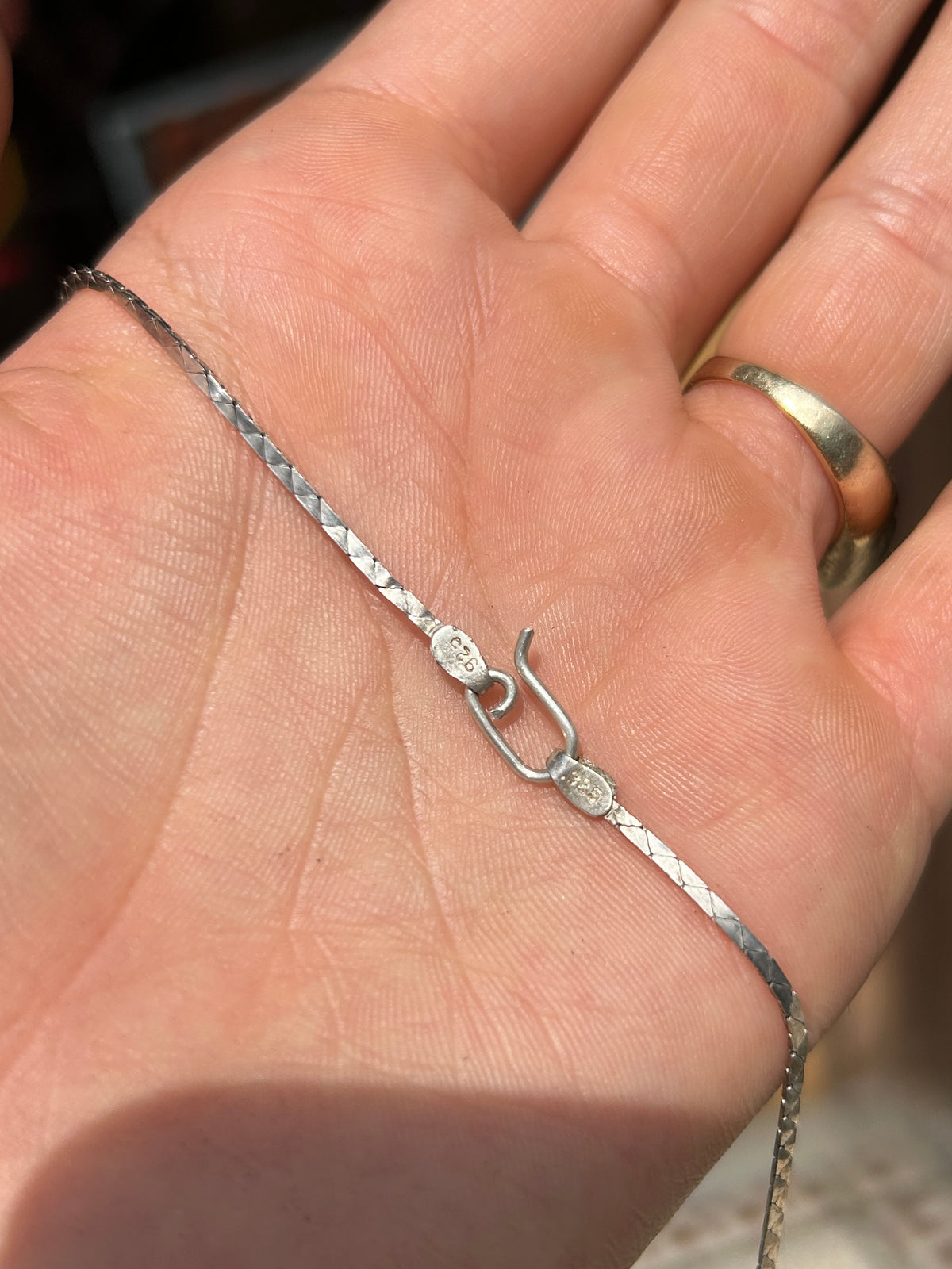 Silver and Shell Necklace