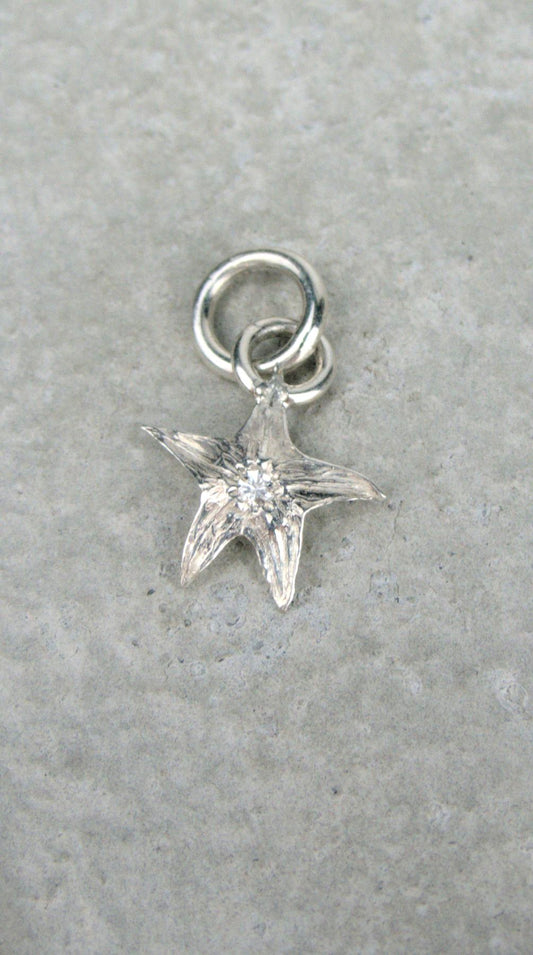 Small Tomato Star Charm
