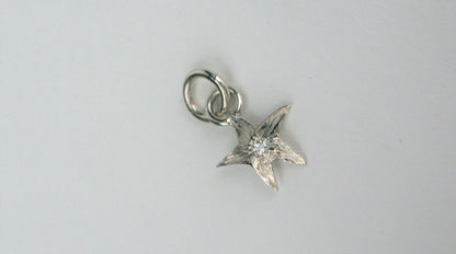 Small Tomato Star Charm