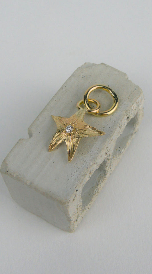 Small Tomato Star Charm 14k Yellow