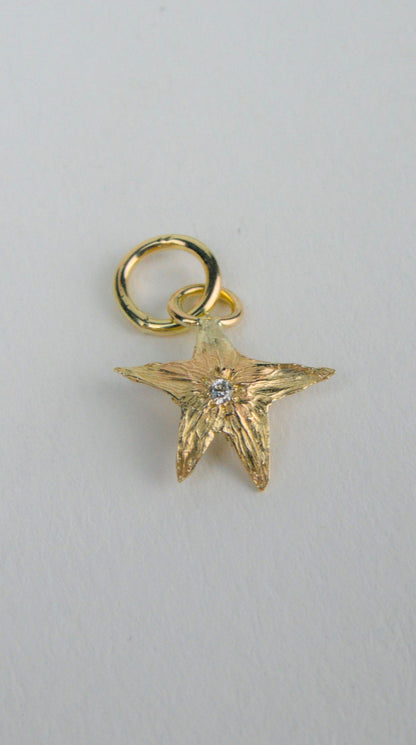 Small Tomato Star Charm 14k Yellow