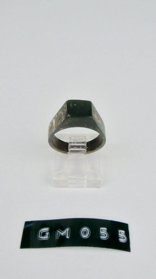GM 055