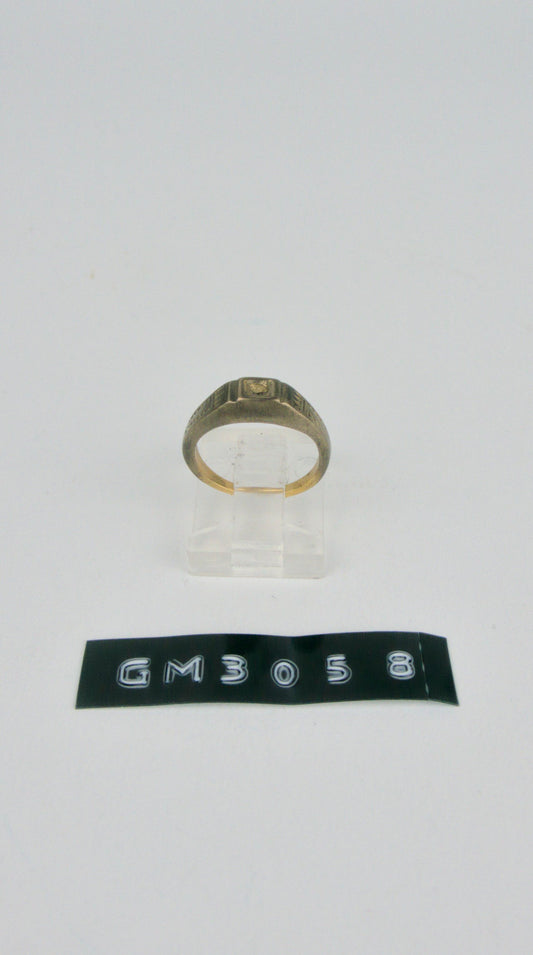 GM 3058