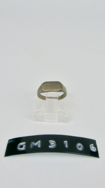 GM 3106
