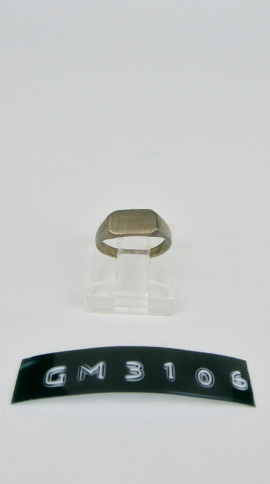 GM 3106