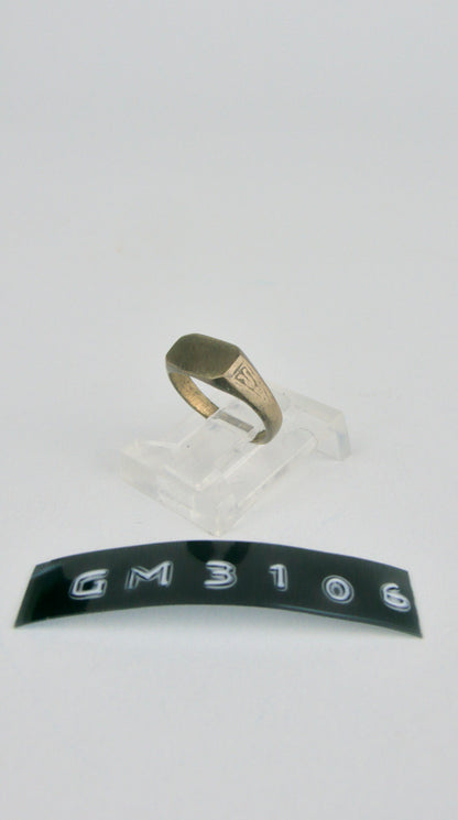 GM 3106