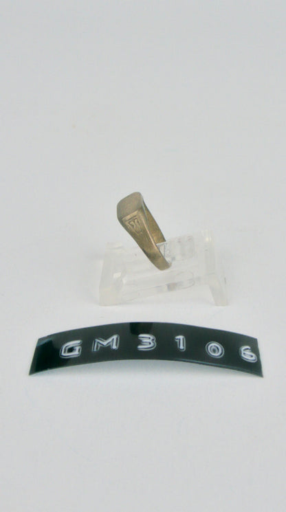GM 3106