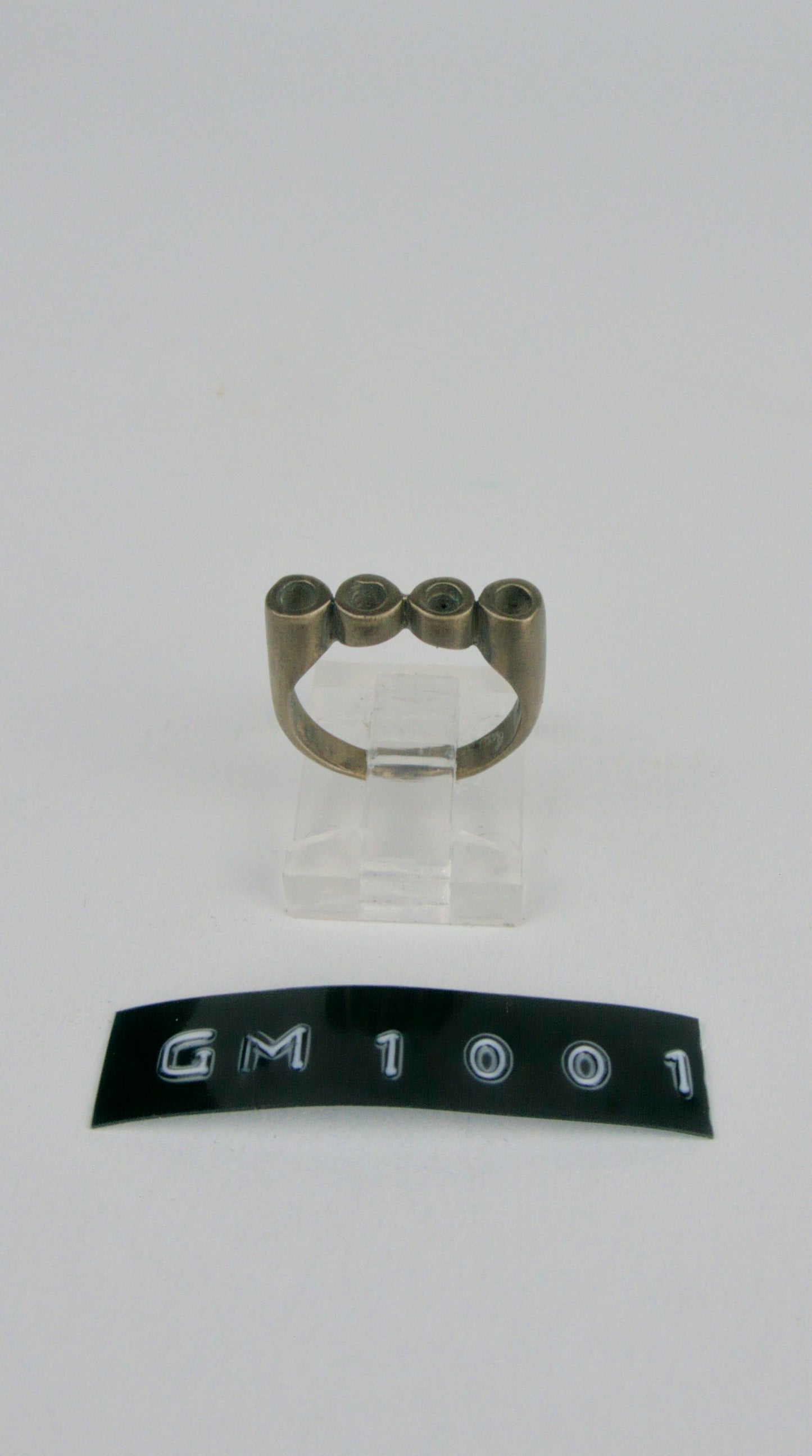 GM 1001
