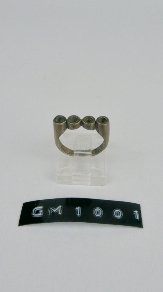 GM 1001