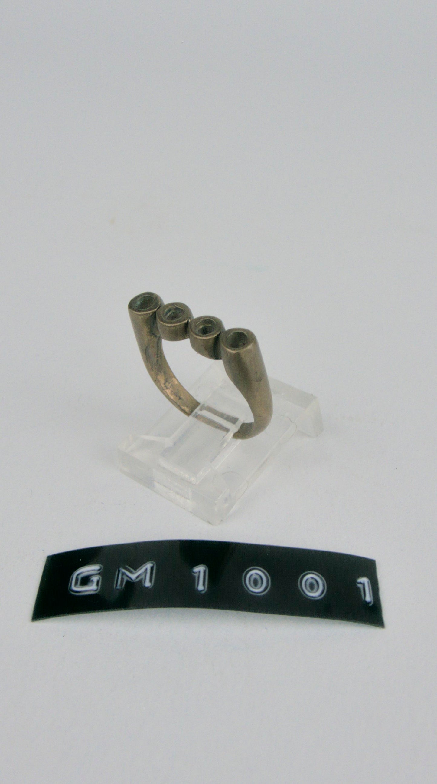 GM 1001