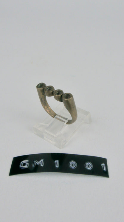 GM 1001
