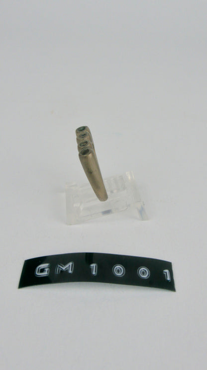 GM 1001