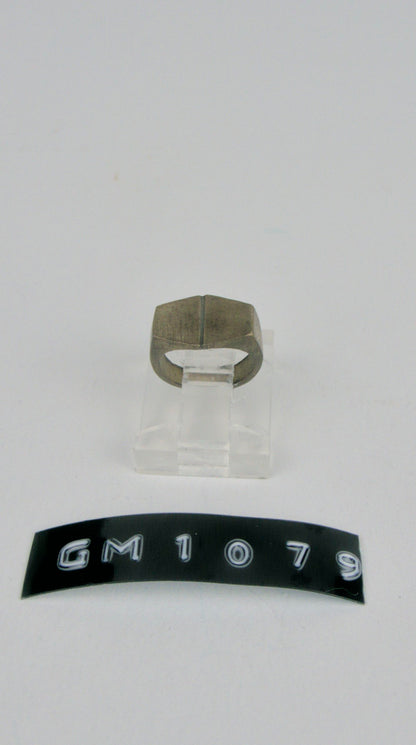 GM 1079