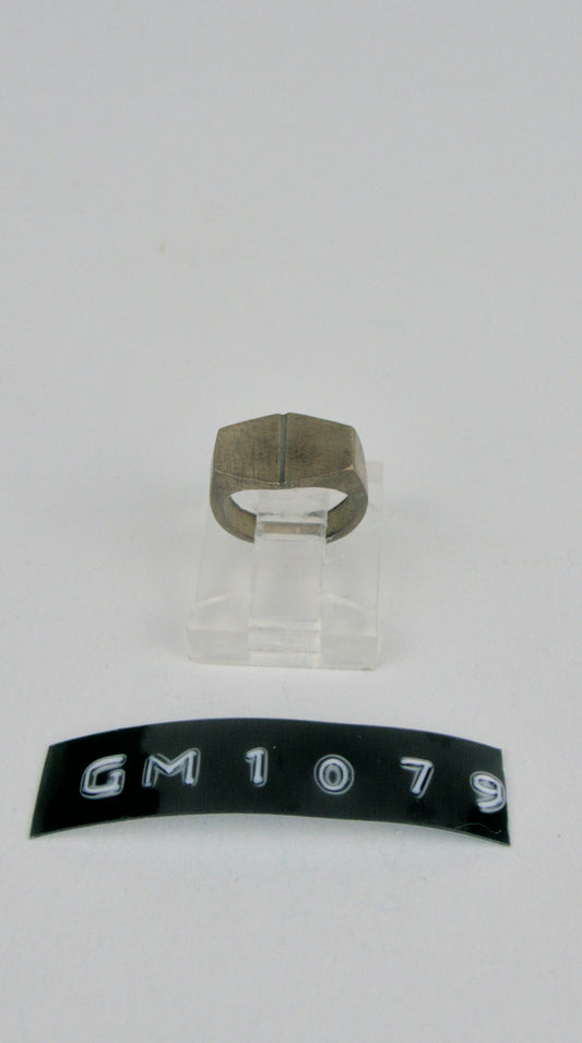 GM 1079