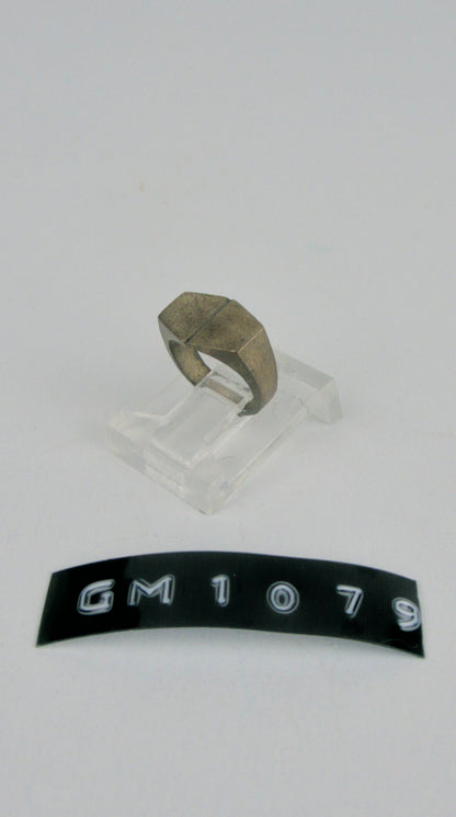 GM 1079