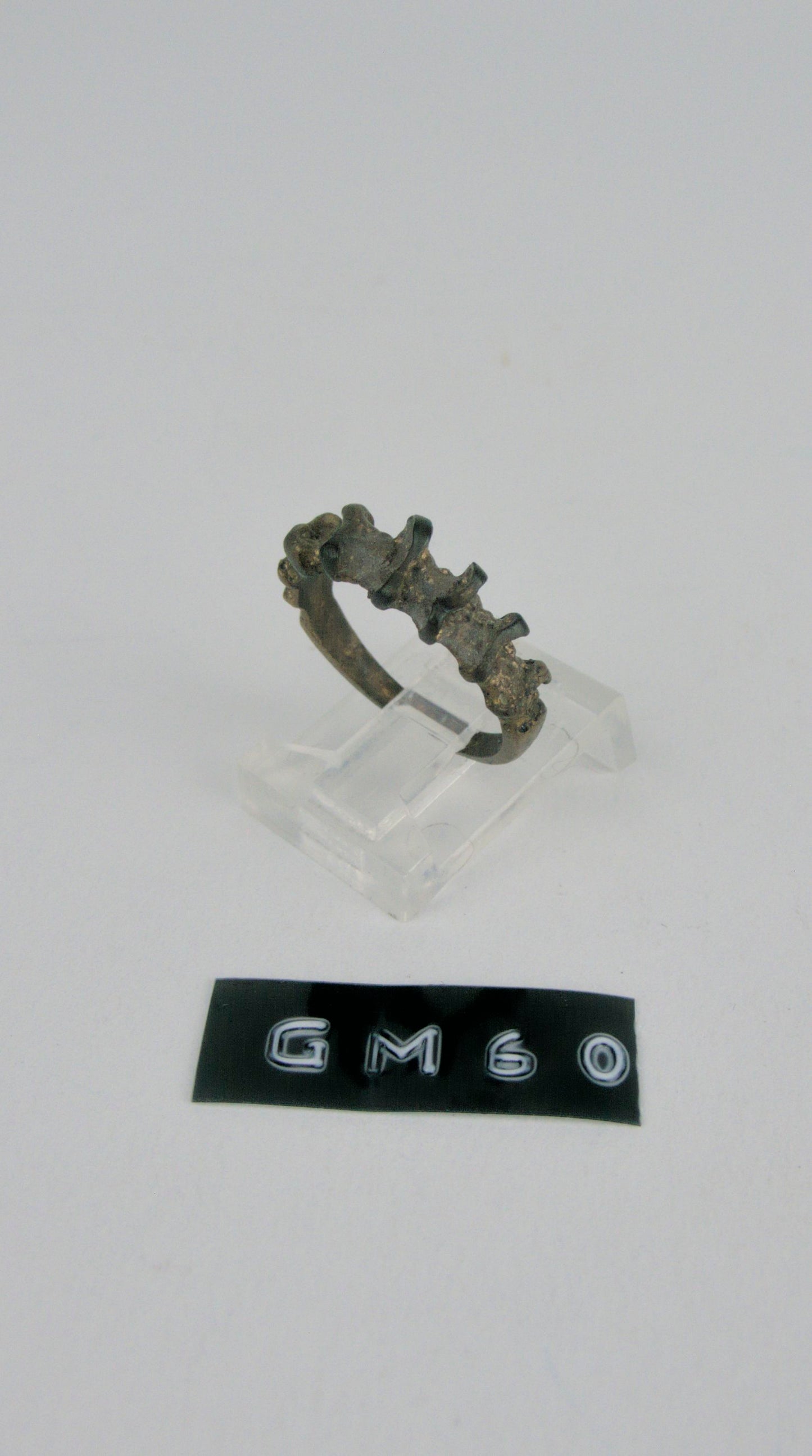 GM 60