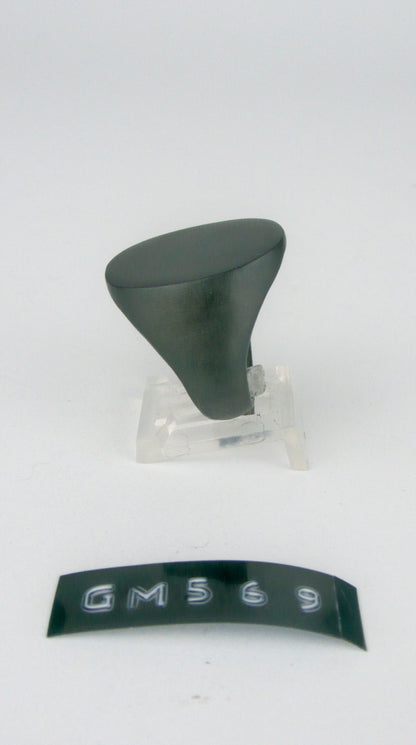 GM 569