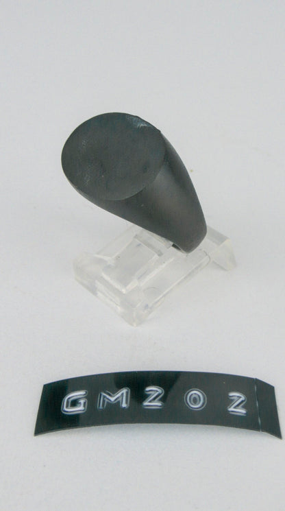 GM 202