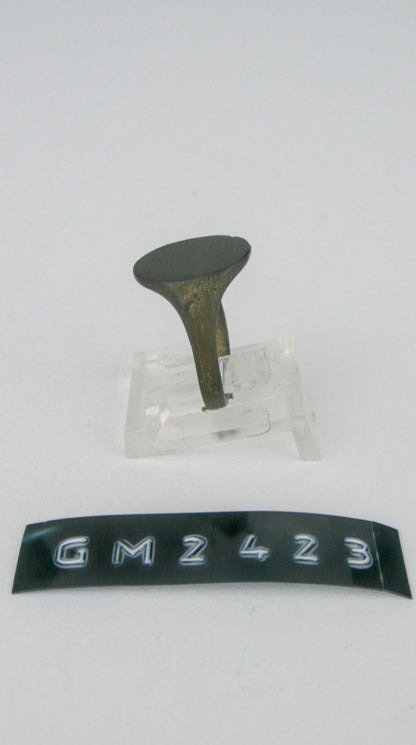 GM 2423