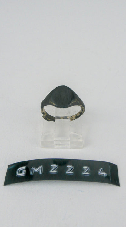 GM 2224