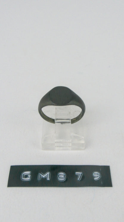 GM 879