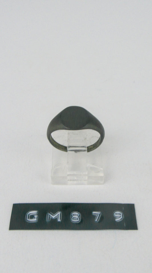 GM 879