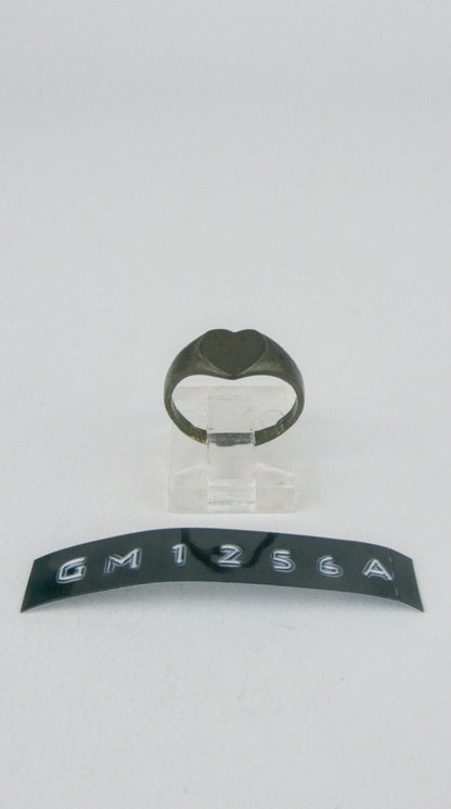 GM 1256A