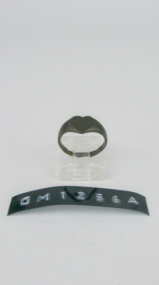 GM 1256A