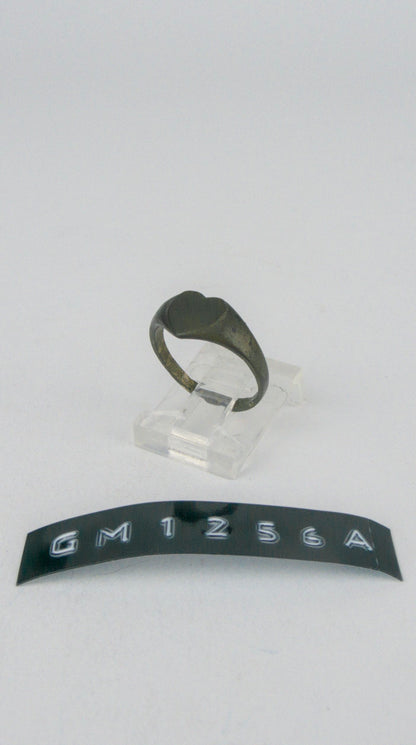 GM 1256A