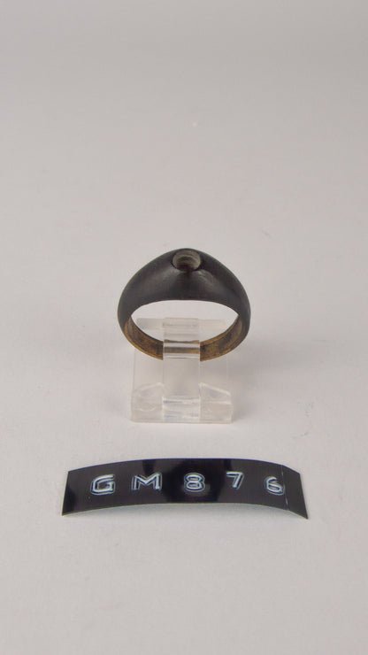 GM 876