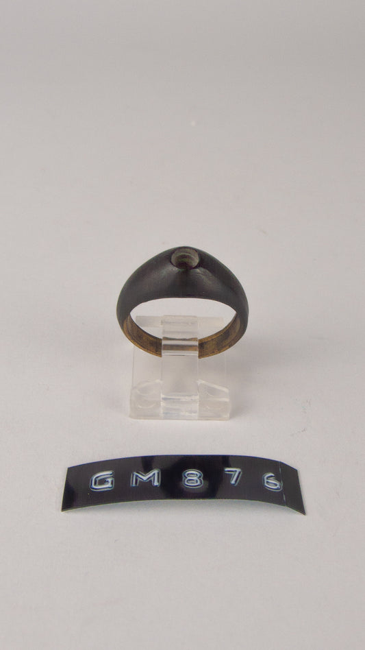 GM 876