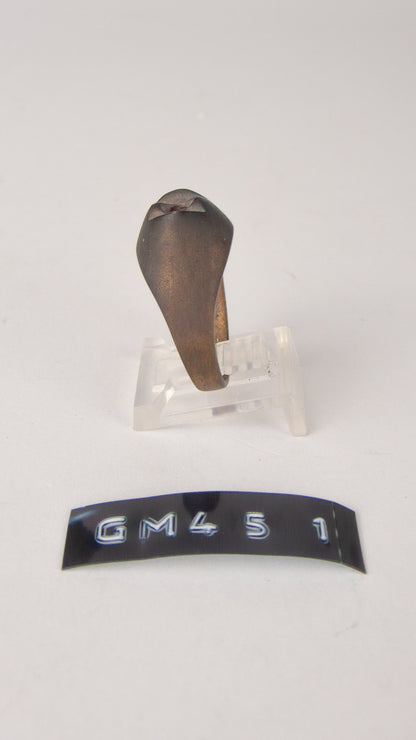 GM 451