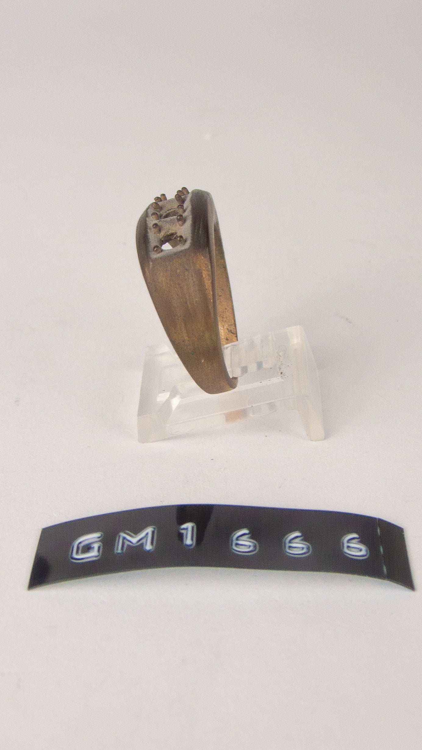 GM 1666