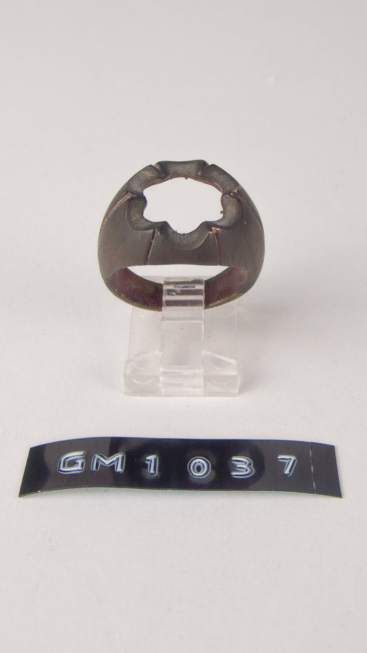 GM 1037