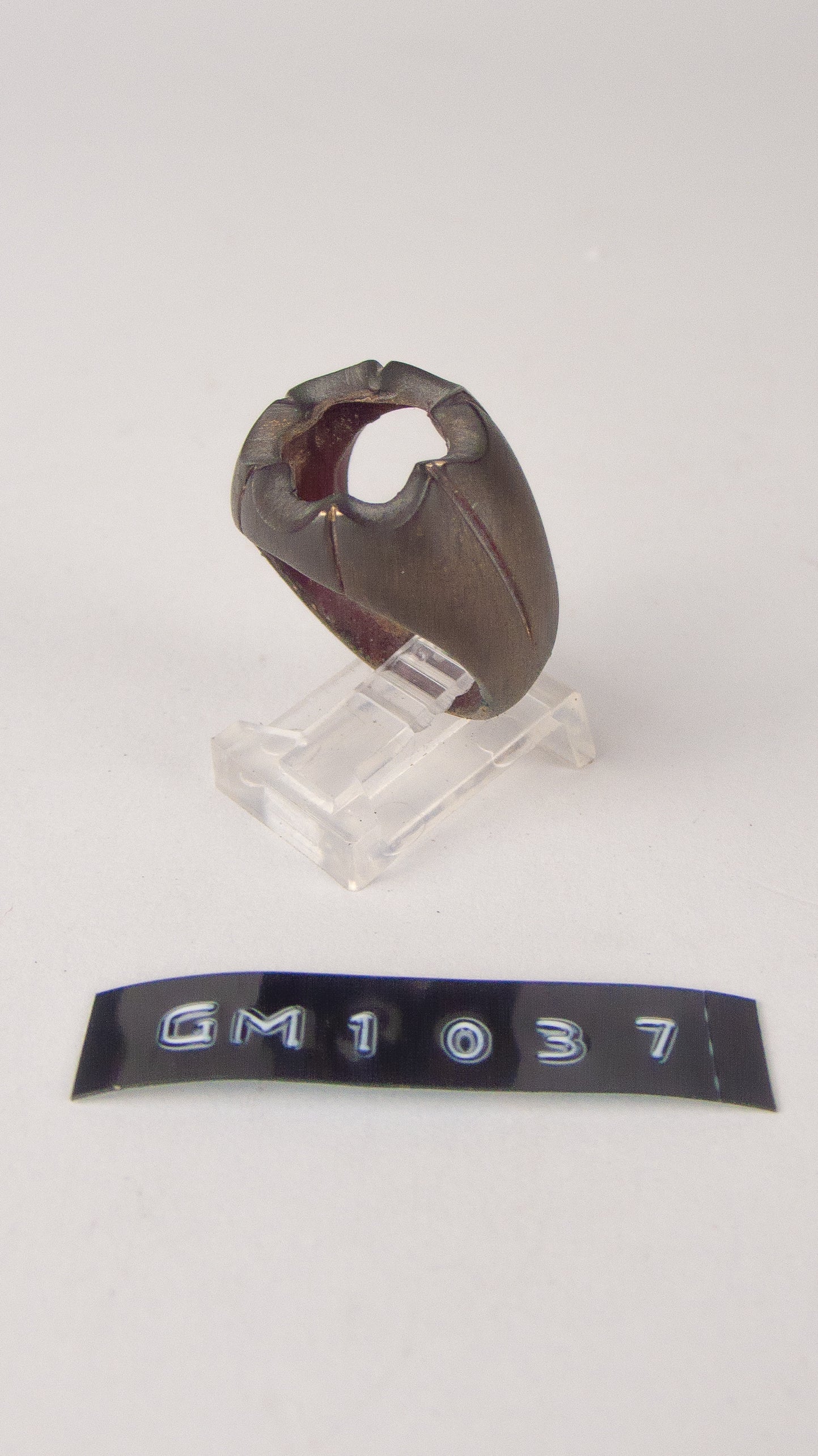 GM 1037