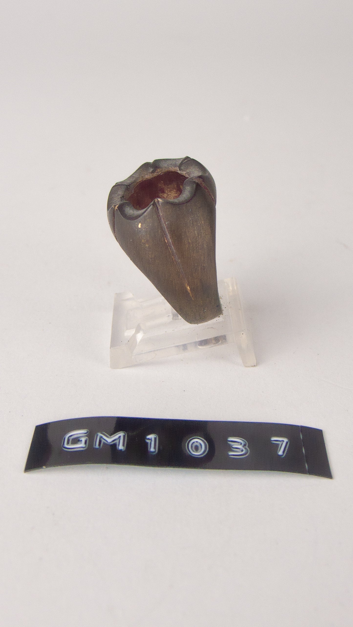 GM 1037