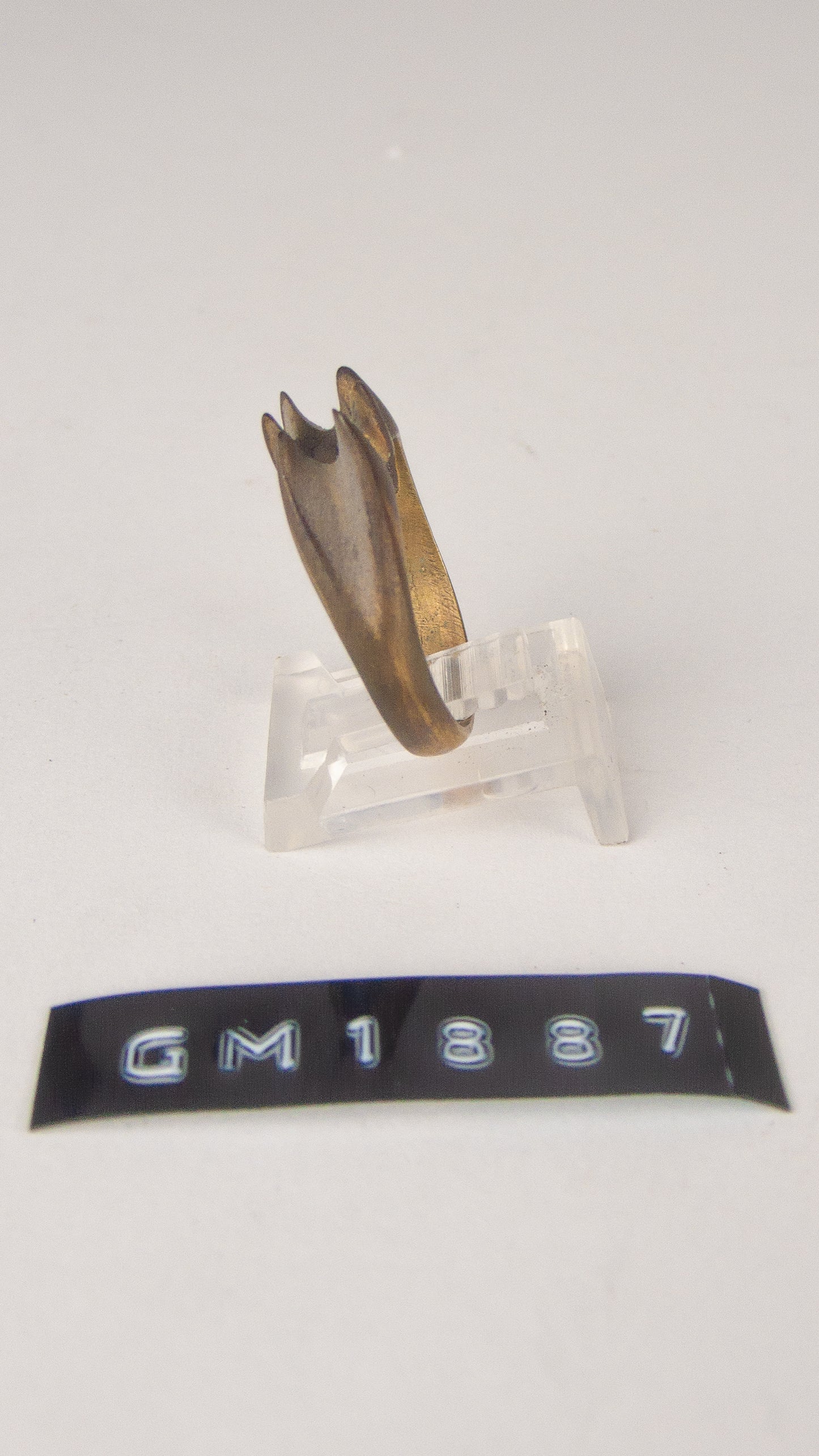 GM 1887