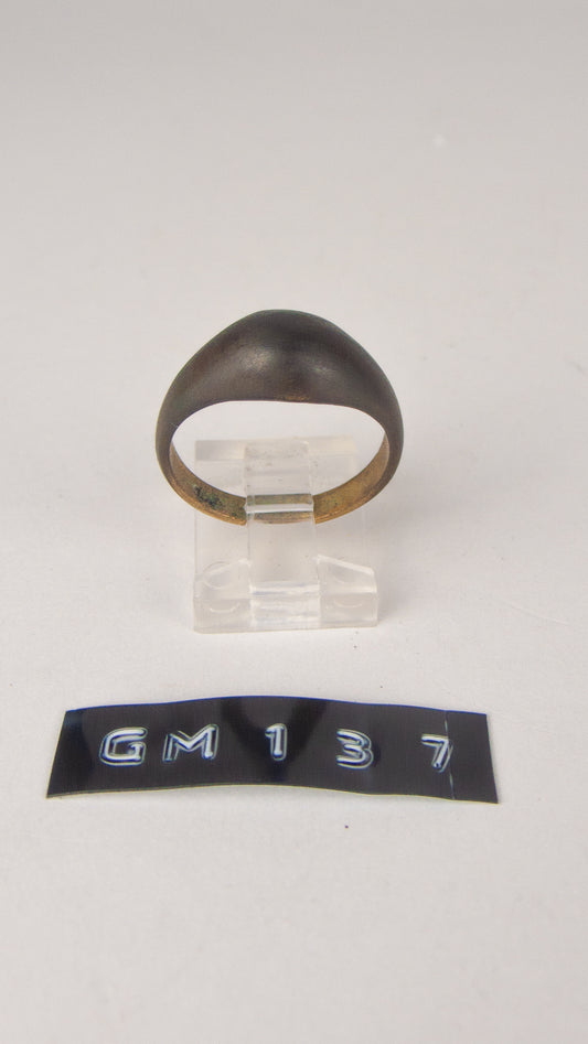 GM 137