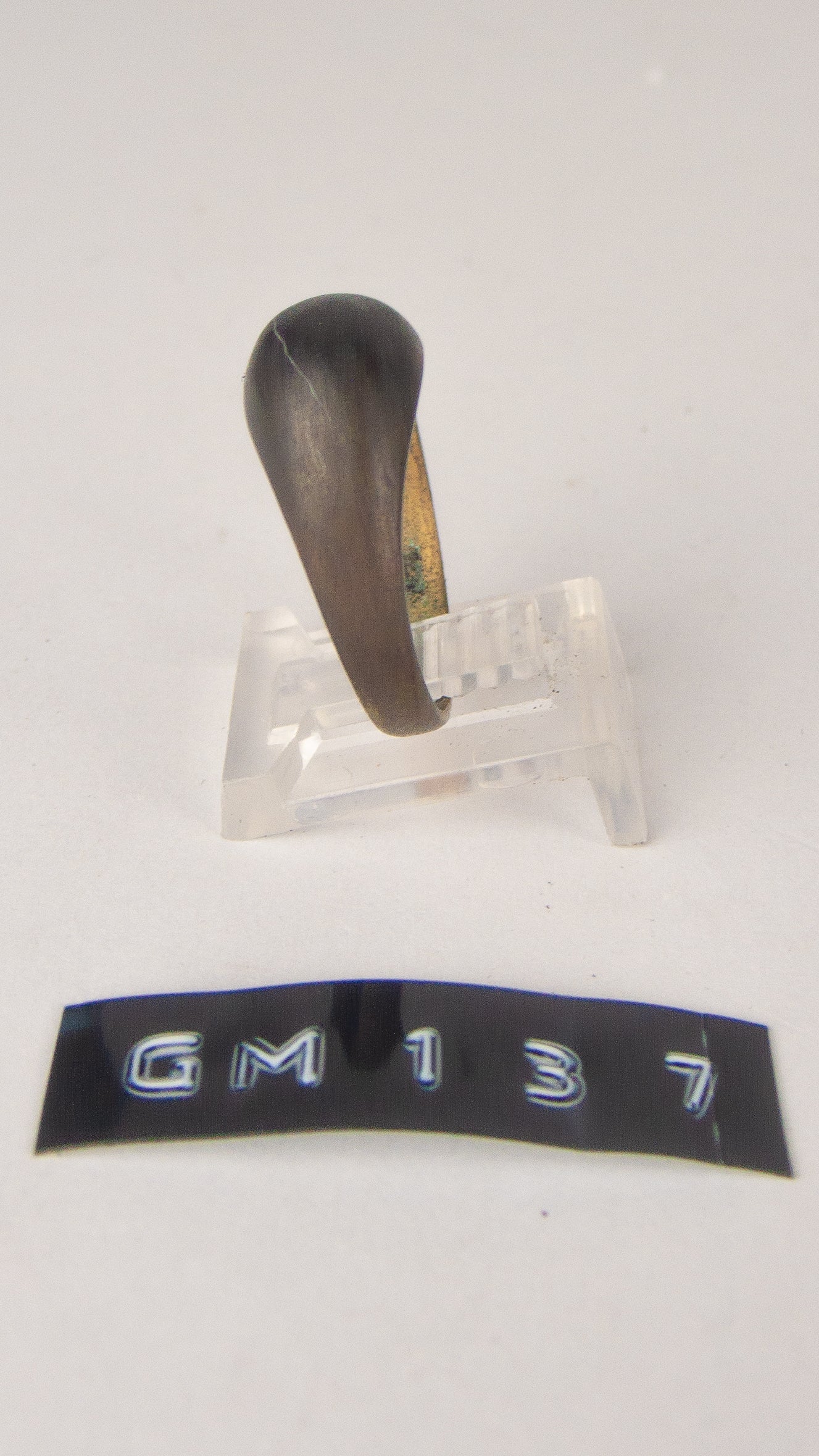 GM 137
