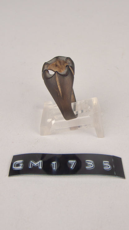 GM 1735